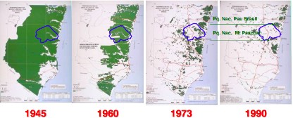 desmatamento na Bahia